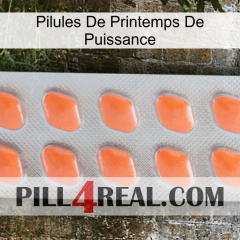 Power Spring Pills 26